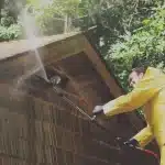 The Importance of Professional Roof Washing for Tennessee Homes