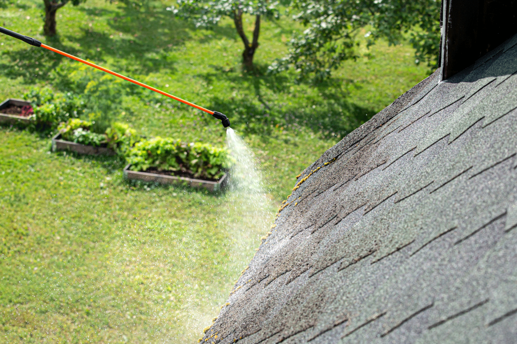Roof Washing
